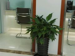 -北京银行(芍药居支行)