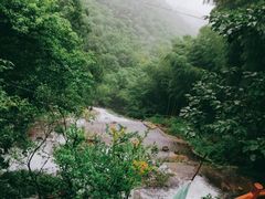 -山沟沟景区