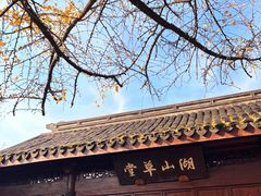 -宝界山林公园