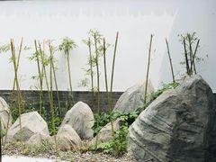 -信园