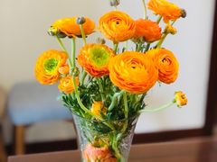 -盒马鲜生(亲橙里店)