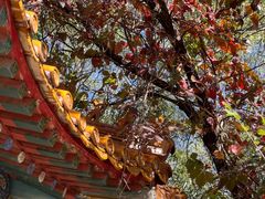 -百里山水画廊乌龙峡谷