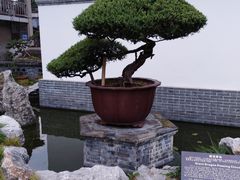 -水绘园
