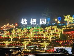 -枇杷园食为鲜火锅(南山店)