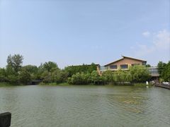 -溱湖国家湿地公园