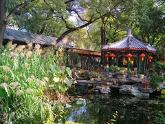 -白家大院·王府宫廷菜(苏州街店)