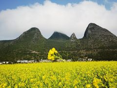 -万峰林风景区