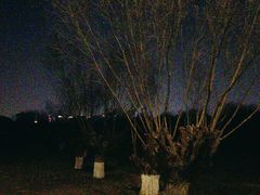 -汉长安城未央宫国家考古遗址公园