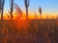 -亿利库布其七星湖沙漠生态旅游区