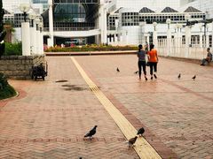 -九龙公园