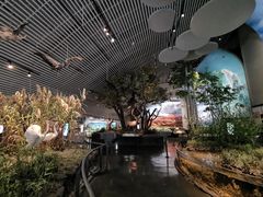 -中国湿地博物馆