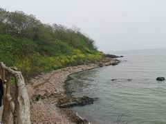 -巢湖姥山岛