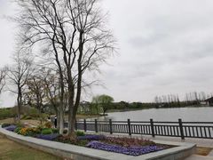 -上海长兴岛郊野公园