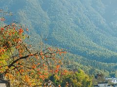 -塔川景区