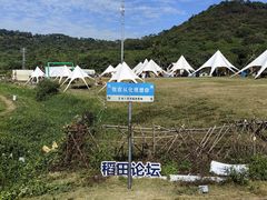 -风云岭森林公园