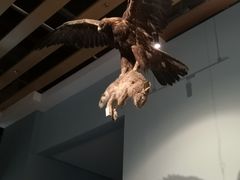 -青藏高原自然博物馆