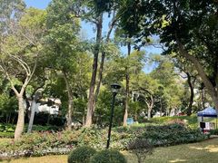 -炮台山公园