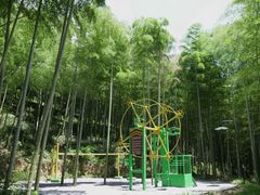 -东明山森林公园