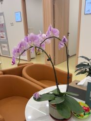 -东莞台心医院-医疗美容