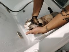 -FAELING PETS美天灵宠物(富力广场店)