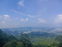 -黄埔油麻山森林公园