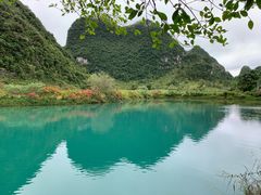 -靖西鹅泉风景区