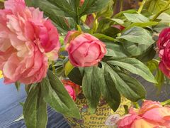 -宫事颐庭·老佛爷贵寿下午茶(颐和园店)