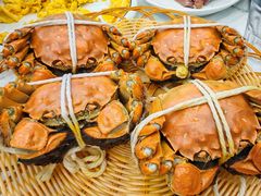 -蟹天蟹地农家菜·阳澄湖大闸蟹(浅水湾店)