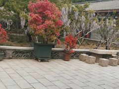 -红螺寺