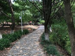 -白马涧龙池景区
