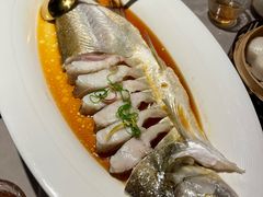 -醉庐·新上海菜(南京西路店)