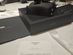 -BLACKSWAN黑天鹅(环球店)