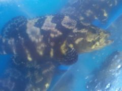 -阳光海鲜大排档