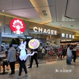 三等奖可能是我这辈子中过最大的奖
