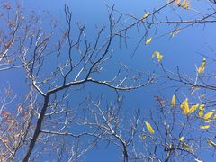 -中关村生命科学园