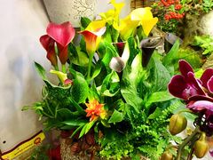 -双季花艺园艺市场(浦东店)