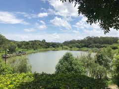 -福建鲤鱼洲酒店