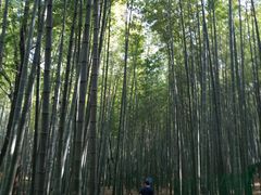 -宝岩生态观光园