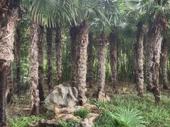 -郑州植物园