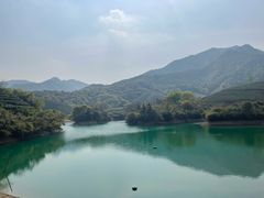 -龙坞茶村