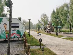 -微山湖红荷湿地景区