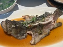 老菜脯蒸石斑鱼-凤凰湘语(浦东旗舰店)