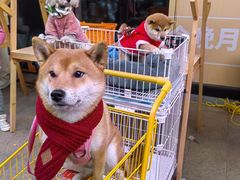 -佛山京华广场MALL