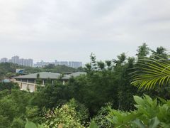 -李宁体育园
