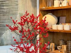 -自由生长植物工作室(深港花卉中心店)