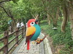 -平湖九龙山旅游度假区