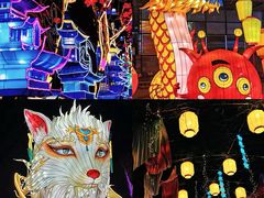 -淄博花灯齐彩城