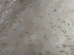 -碧水湾温泉