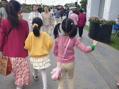 -荷兰花海