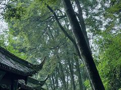 -青城山